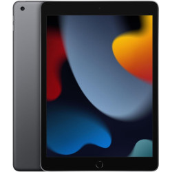 APPLE IPAD 10.2 (9TH GEN) WI-FI 2021 256GB ROM/3GB RAM SPACE GRAY EU